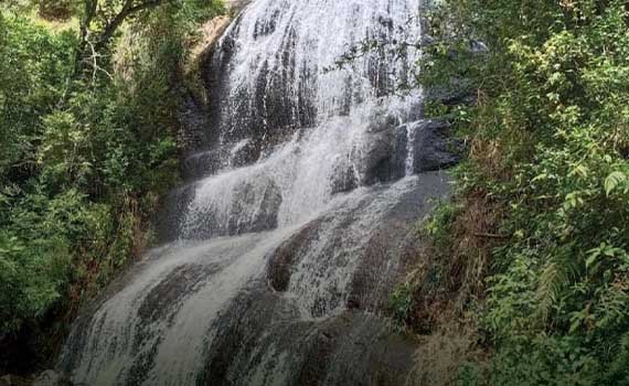 Best Homestay near bear shola falls