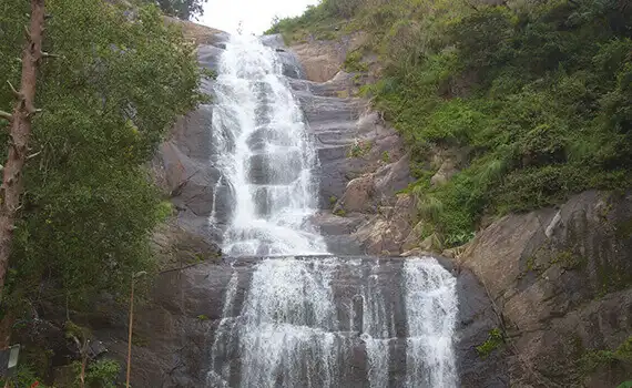 Best Homestay near silver cascade falls