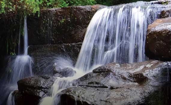 Best Homestay near vattakanal waterfalls