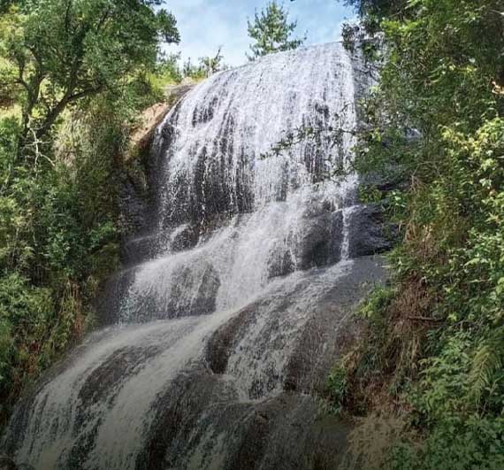 Resort near bear shola falls