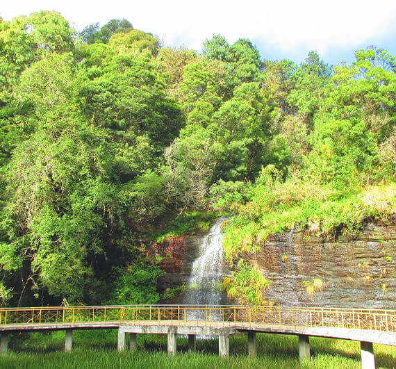 Resort near fairy falls