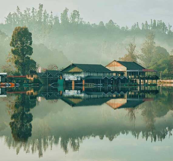 Resort near kodai lake