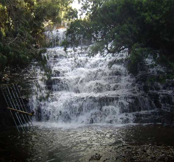 Resort near pambar falls