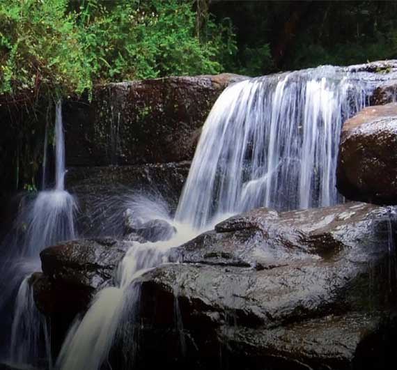 Resort near vattakanal waterfalls